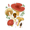 Mushrooms Botanical