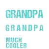 American Akita Inu