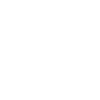 American Akita Inu