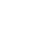 American Akita Inu