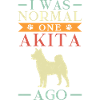 American Akita Inu