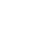 Akita Inu américain