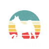 Akita Inu américain