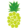 Pickleball Pineapple
