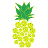 Pickleball Pineapple