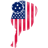Pickleball Paddle American Flag