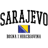 Bosnia Flag Art Balkans