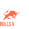 Bulls VS Bears