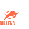 Bullen VS Bären