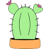 Cactus, cacti, succulents, plant