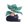 Cats And Plants