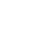 Hand Cavapoo Pfote
