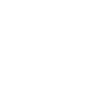 Hand Foxterrier Pfote