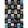 Fuerteventura Grid
