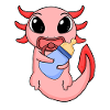 Bébé Axolotl