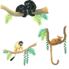 funny monkeys