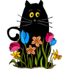 Katze