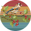 Bunter Vogel