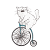 Bicycle mrou