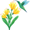 small hummingbird