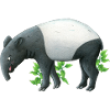 small tapir