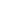 Lyon