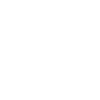 Ski Now Work Later