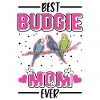 Budgie Mama Welli Parakeet