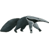 the funny anteater