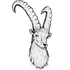 Steinbock Sternzeichen Astrologie