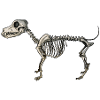 Dog Skeleton