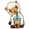 Lama drinks bubble tea