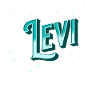 Levi names personalized