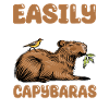 Funny Capybara Shirt