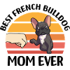 Français Bouledogue