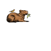 Capybara