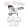 Best Seagull Papa