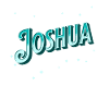 Joshua name personalized