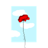 Poppy - flower - plant - drawing