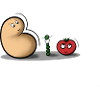 bio
