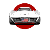 Real American muscle car