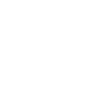Small floating turtle