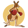 Kangaroo boxer