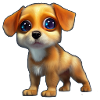 Chiot 3