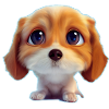 chiot mignon
