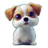 Puppy 1