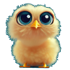 Chicks with big eyes