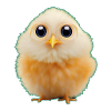 Fluffy chicks