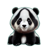 Panda 5