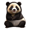 Panda 7